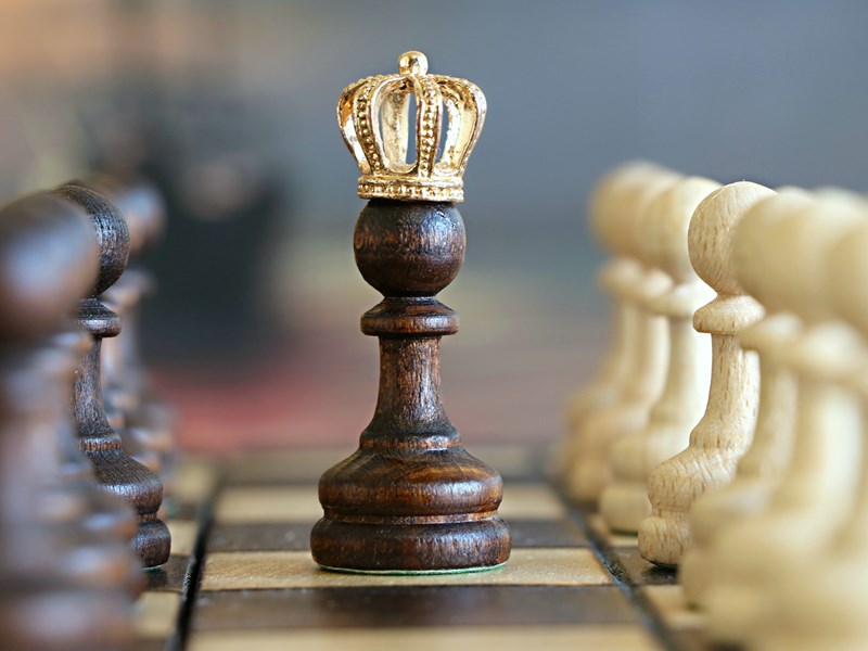 Leverage the potential of ProCampaign Loyalty Program