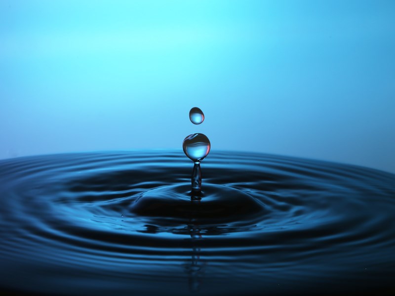 ProCampaign Standard Clean-up Process