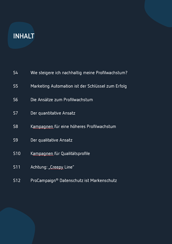 Whitepaper Strategisches Profilwachstum